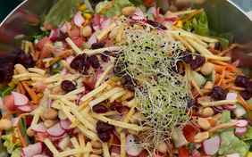 Frisch zubereitet & voller Geschmack – Essen im Seasidecamp